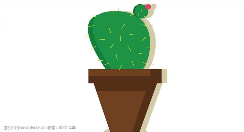 多肉球卡通植物图片