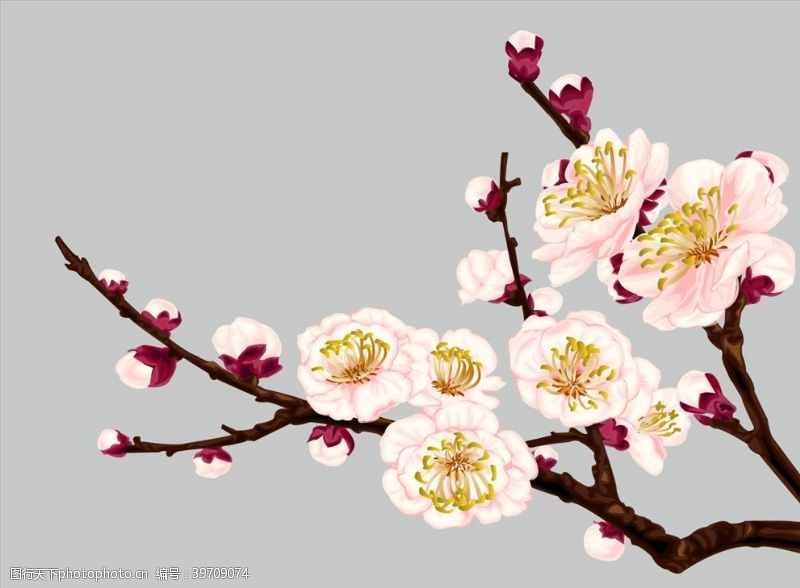 樱花素材矢量桃花图片