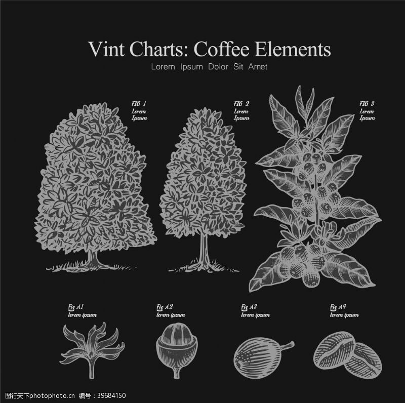 咖啡图标手绘咖啡果实图片