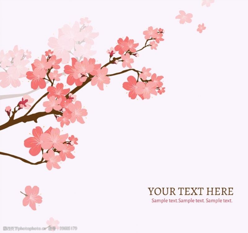 樱花花枝背景图片