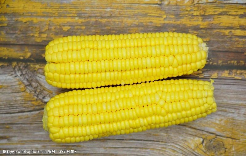 玉米棒子玉米图片