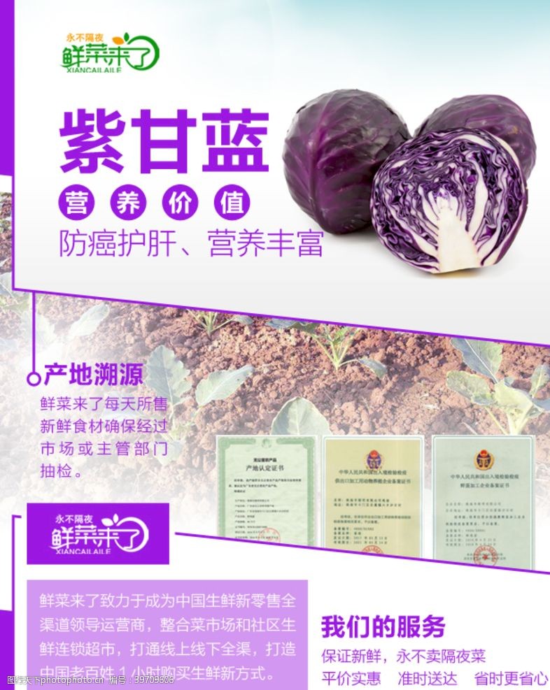 菜品排版紫甘蓝详情页图片