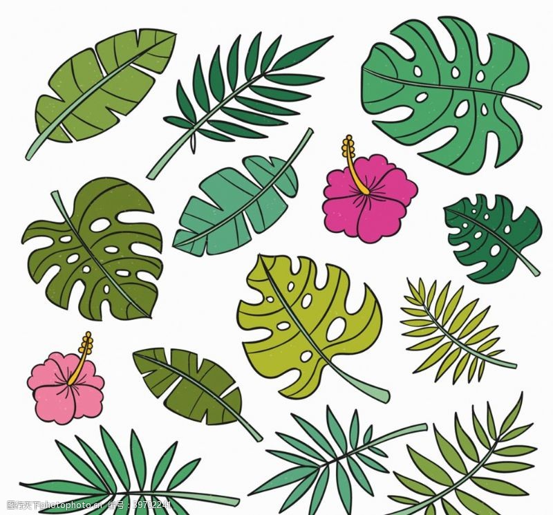 绿色素材14款彩色花卉和树叶矢量素材图片