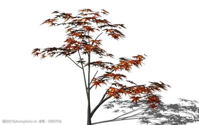 草图大师3D植物树SU模型图片
