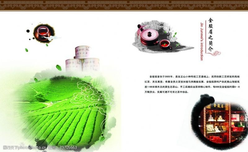 茶画册茶叶文化图片