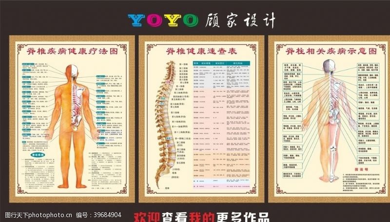 脊椎病脊柱示意图图片