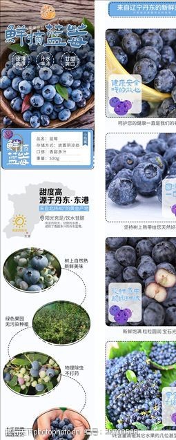 水果蔬菜宝宝蓝莓水果蔬菜电商淘宝详情页图片