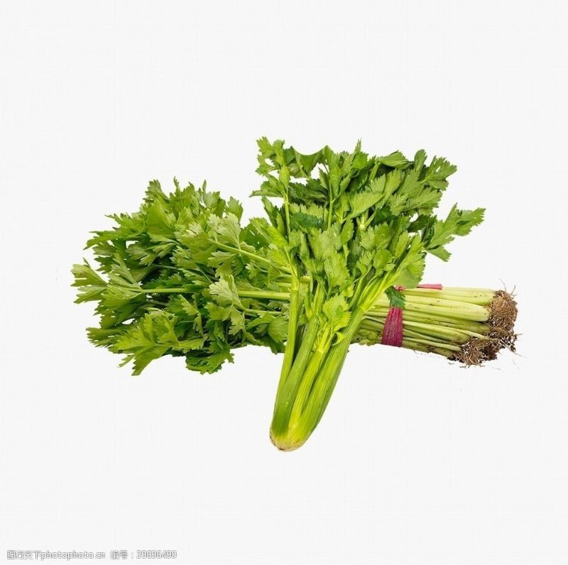 绿色食品底色芹菜图片