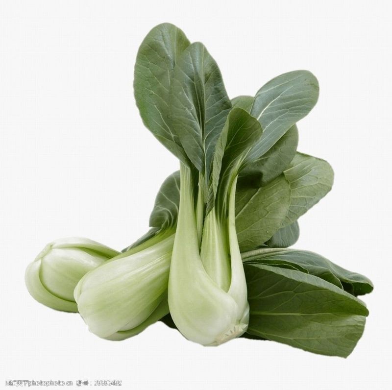 绿色食品底色青菜图片