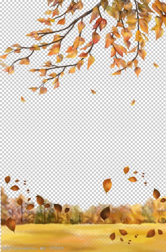 金色枫叶秋天素材图片