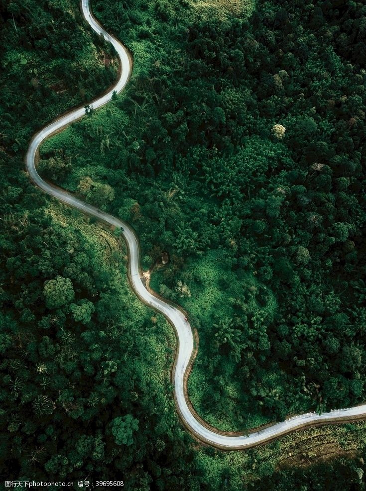 公路自行车森林盘旋公路图片