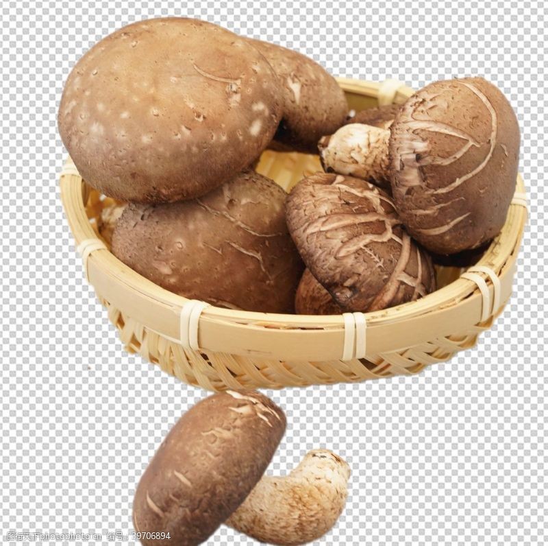 鲜蘑菇香菇图片