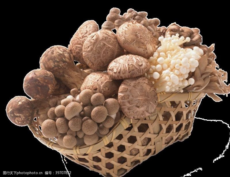 食用菌一篮子蘑菇图片