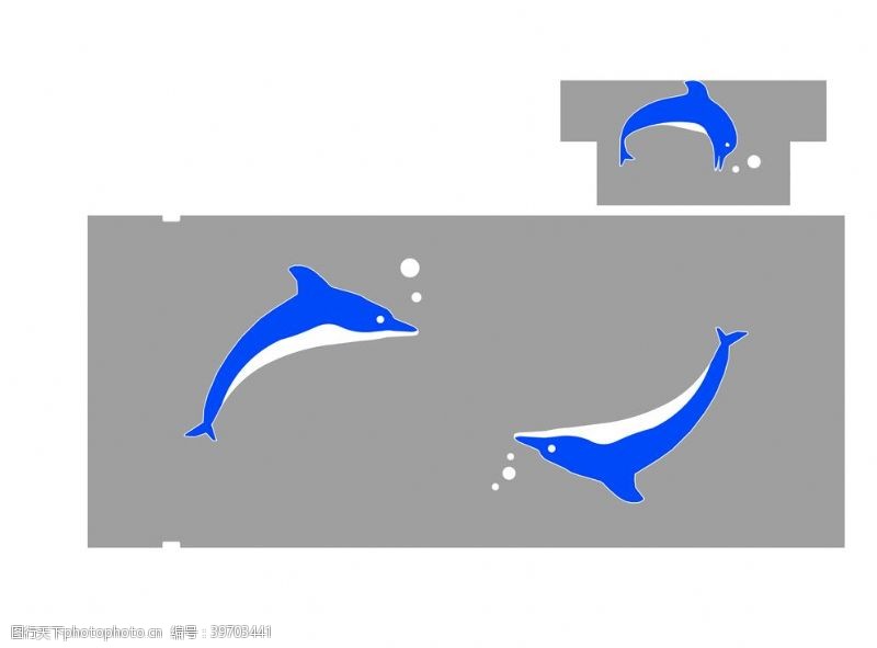 白色游泳池海豚图片