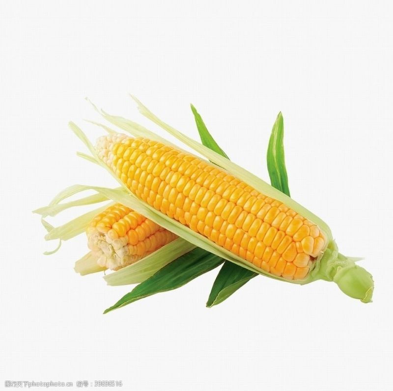 绿色食品底色玉米图片