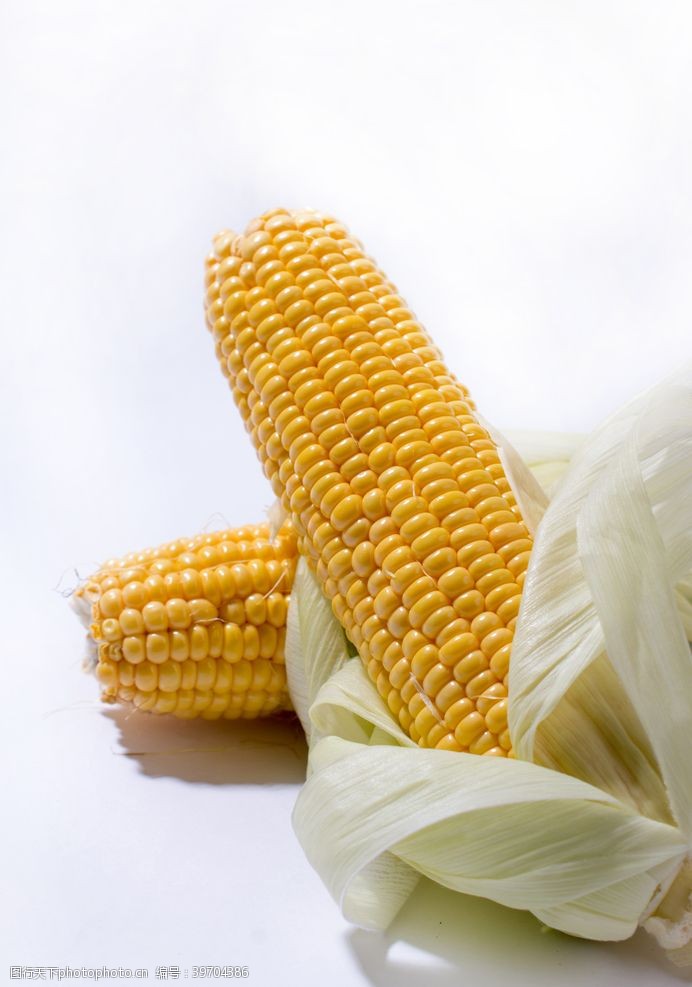 玉米种子包装玉米图片