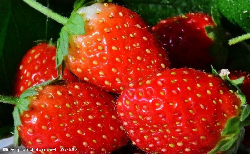 水果牛奶草莓图片