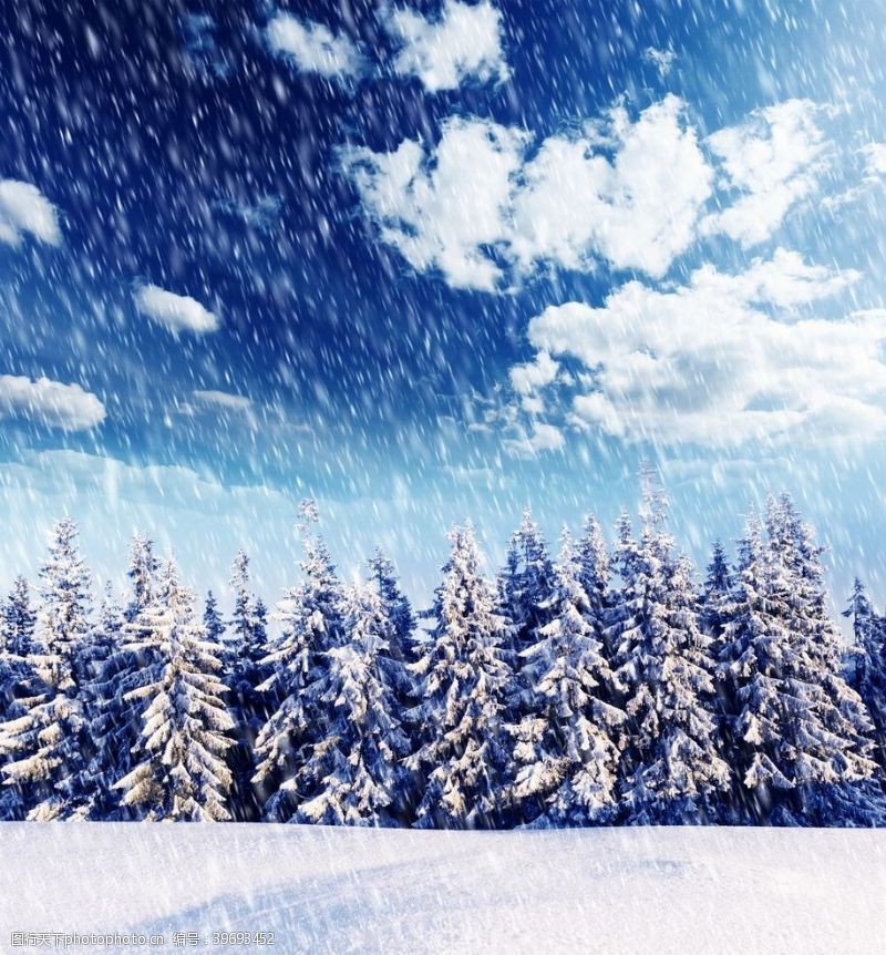 树木卡通冬天图片