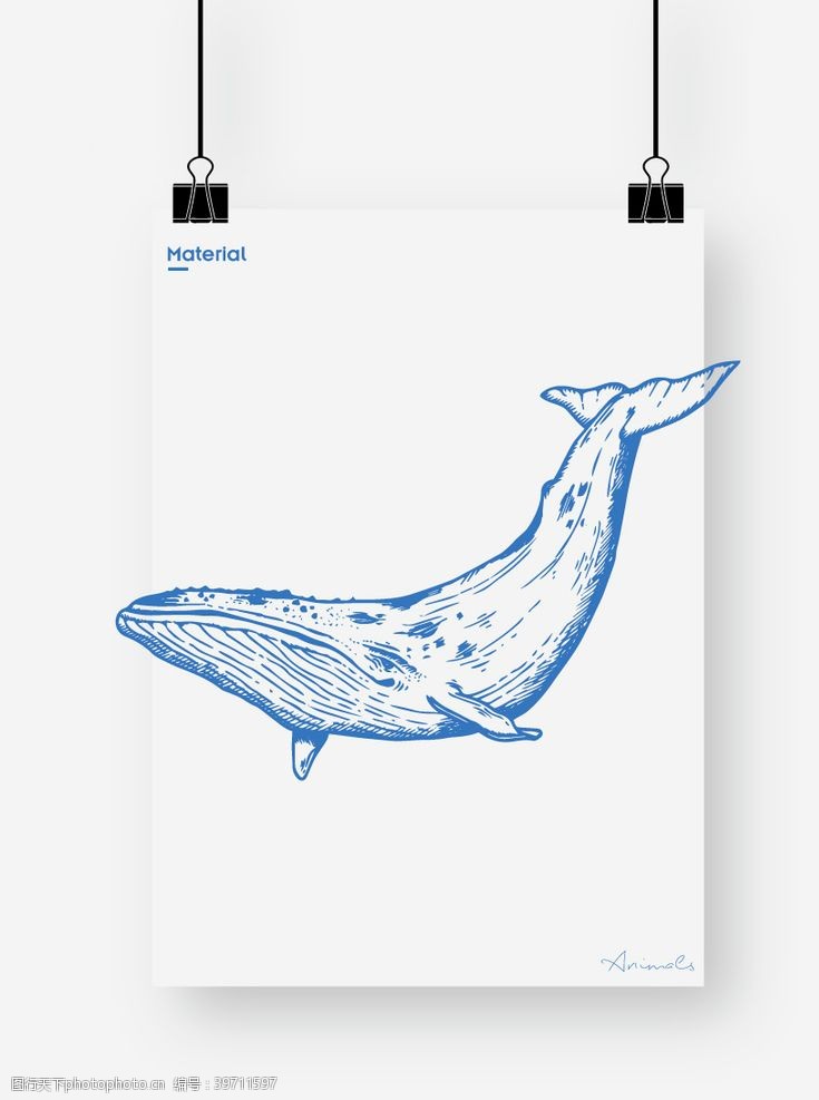 建筑线稿图鲸鱼图片