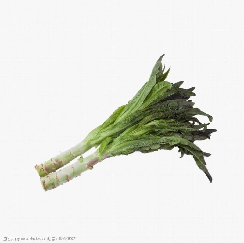 绿色食品底色莴苣图片