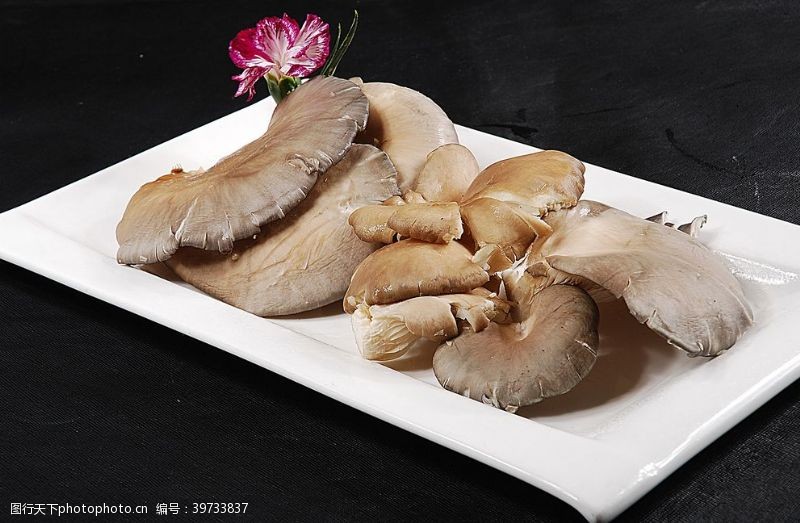 干蘑菇豫菜鲜蘑菇图片
