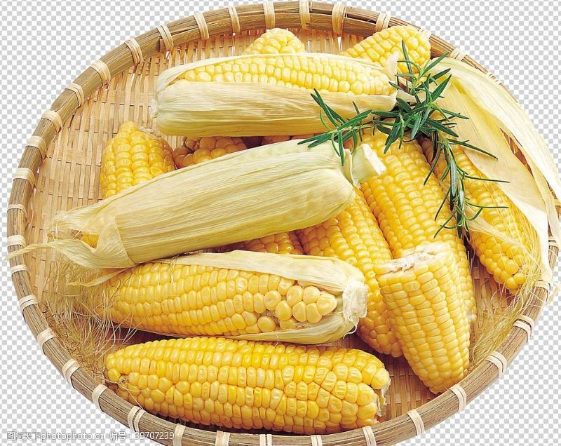 305dpi玉米蔬图片