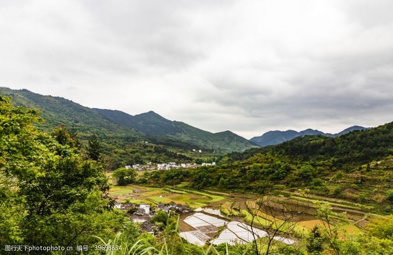 美丽乡村最美田园风光图片