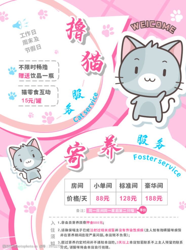 宠物海报宠物店猫咪生活馆粉色价格海报图片