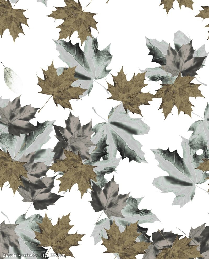 清新几何图形抽象树叶图片