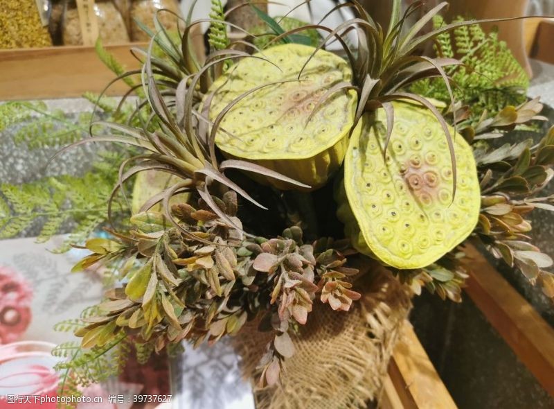 莲蓬绿植装饰物图片