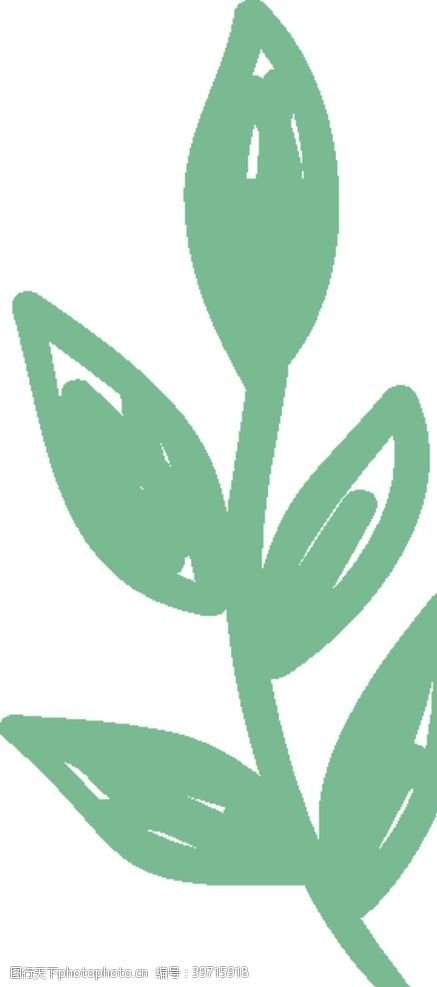 橄榄清新绿植图片