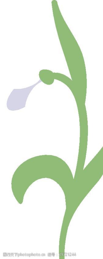 橄榄清新绿植图片