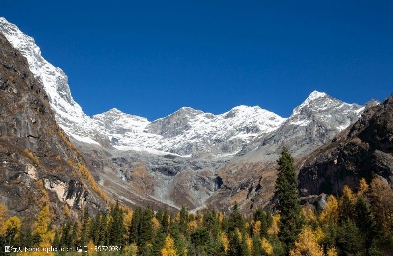 旅游风景森林风景图片