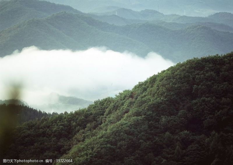 风光摄影森林风景图片