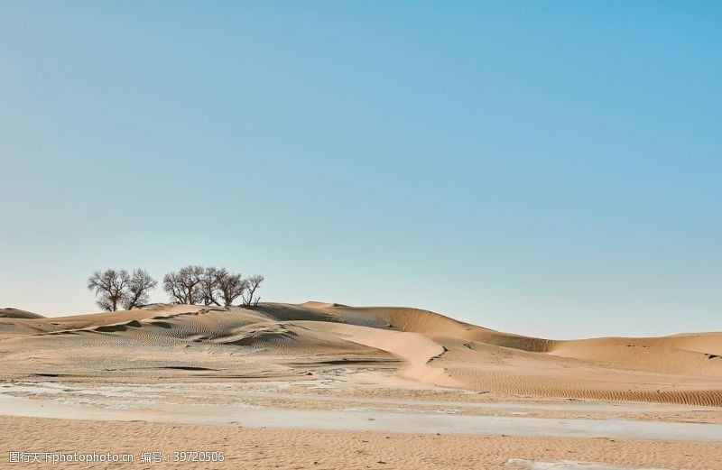 纳凉沙漠风景图片