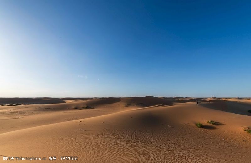 纳凉沙漠风景图片
