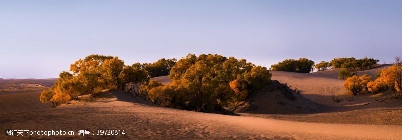 干旱地区沙漠风景图片