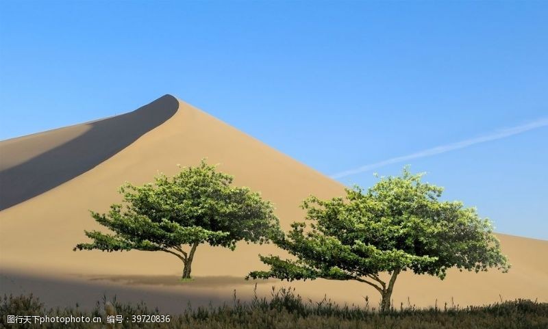鄂尔多斯沙漠风景图片