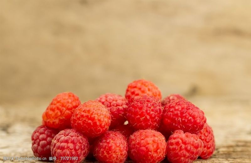 蔬菜基地树莓图片