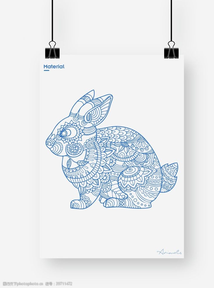兔子底纹兔子图片