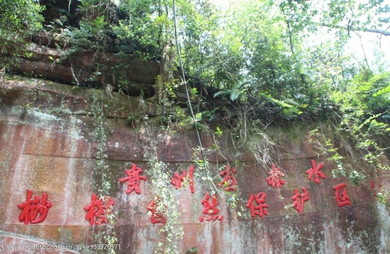 贵州旅游景区大石板图片