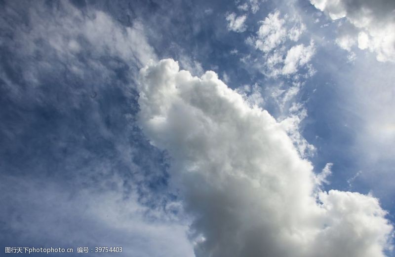 仰望高空白云图片