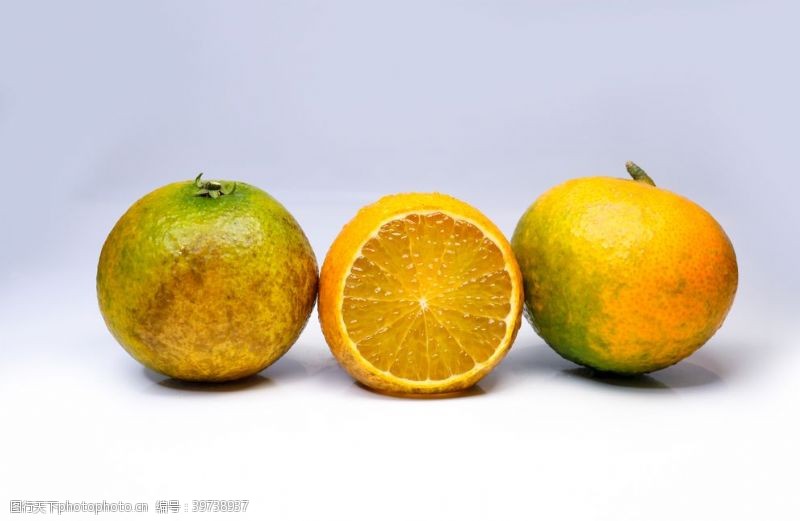 脐橙果冻橙图片