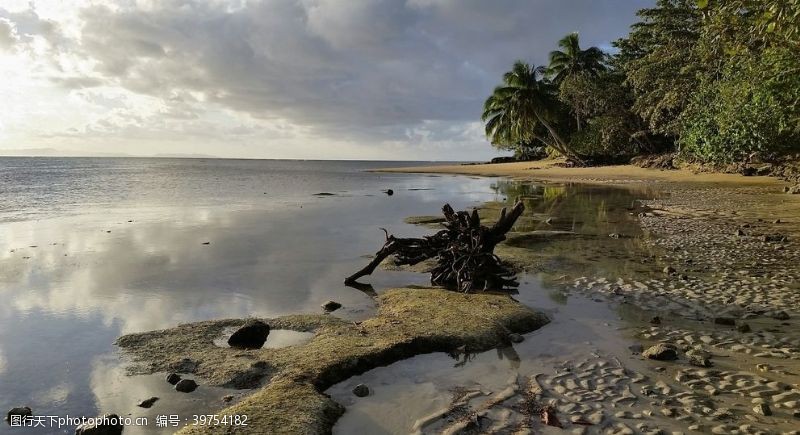 椰岛沙滩海边的椰林风光图片