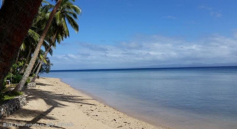 椰岛沙滩海边的椰林风光图片