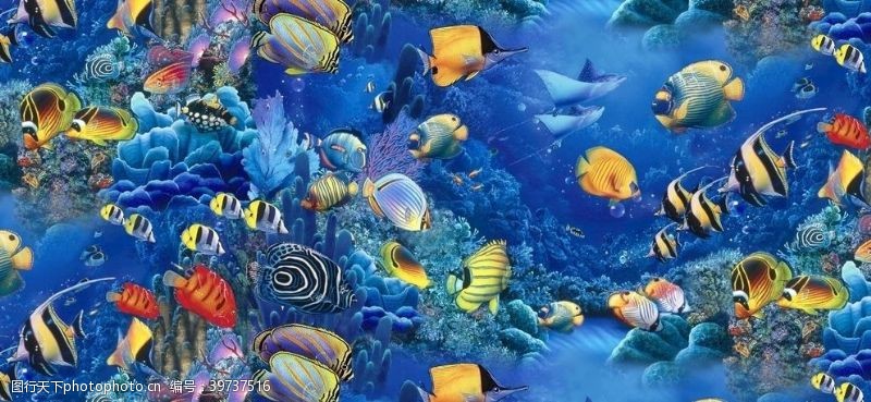 水体清澈海底世界热带鱼图片