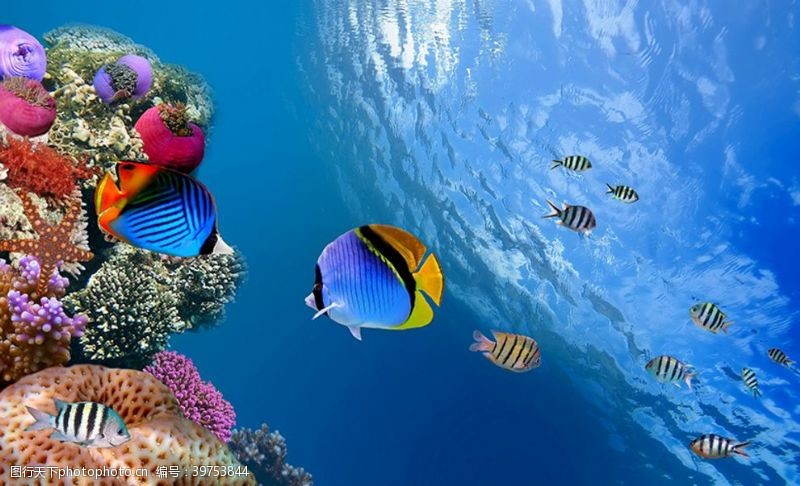 黄色的小鱼海底世界图片
