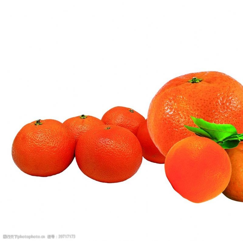 橘子水果素材图片