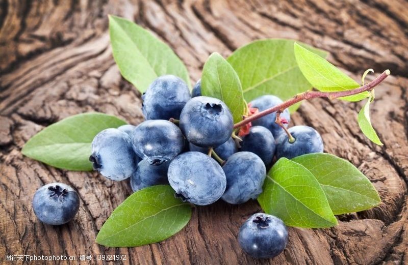 新鲜蓝莓蓝莓图片