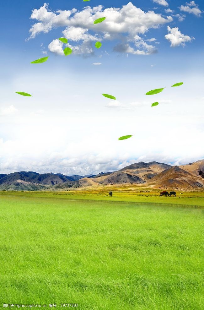 新疆风景牧场图片